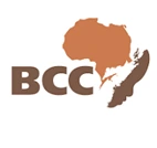 Black Cultural Centre